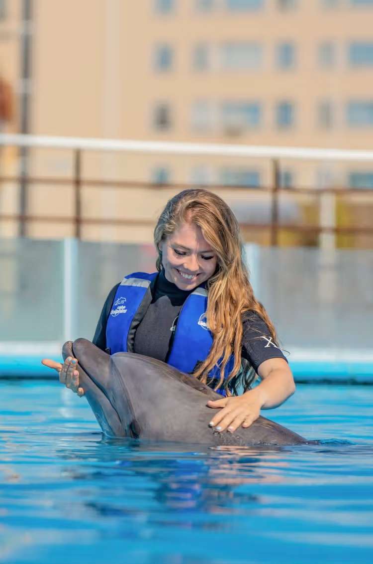 Dolphin Experience